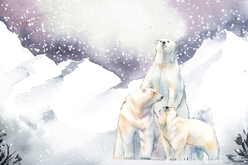 Polar bears in the snow | Premium Vector Illustration - rawpixel