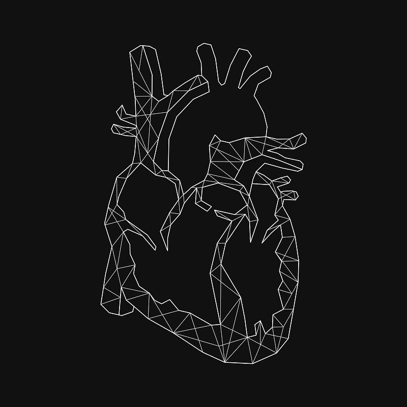 Free Stock Photo of Human Heart  Anatomical Rendering on Dark Background   Human heart Anatomical heart art Human heart art