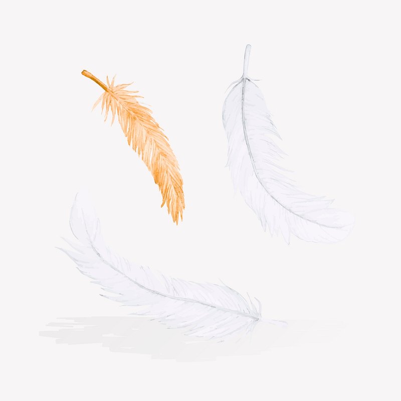 falling feather sketch
