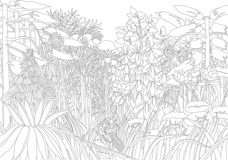 henri rousseau coloring pages