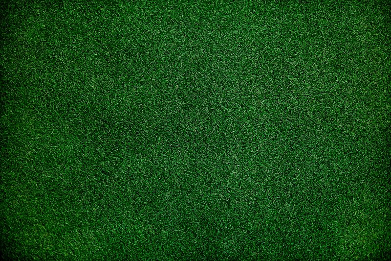 grass background texture