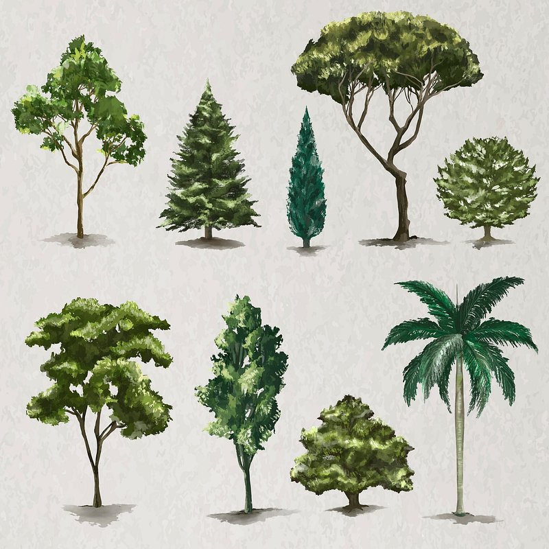 Premium Vector  Set of stickers forest trees on the background