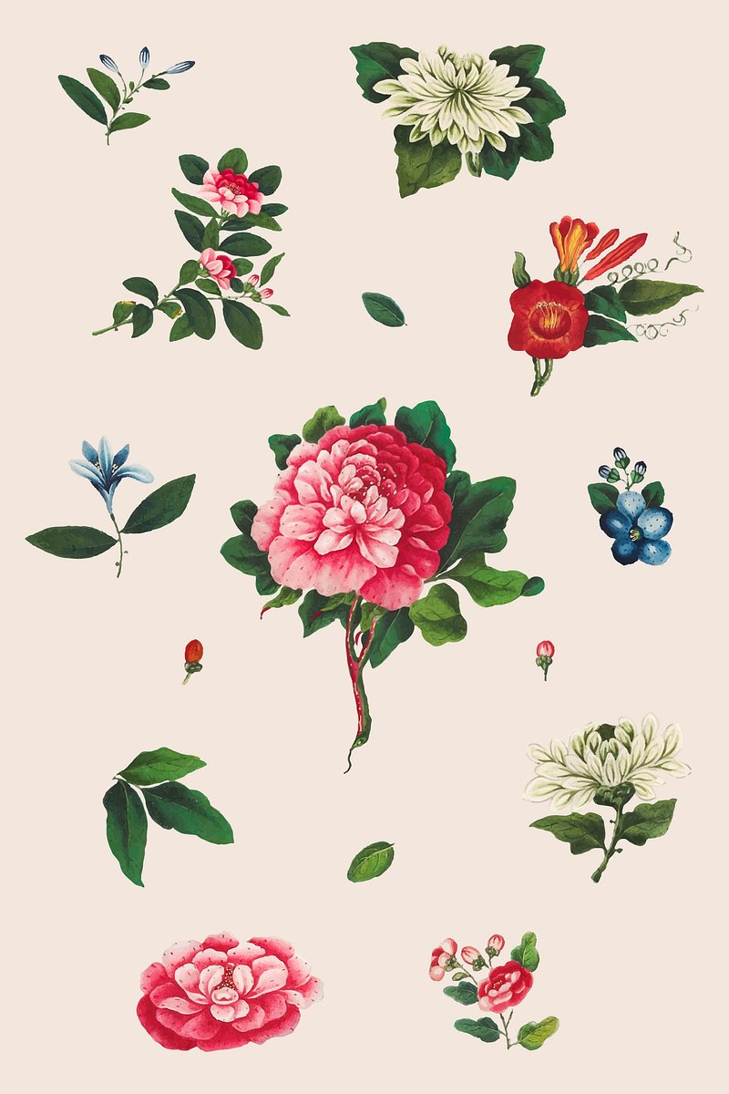Vintage Chinese flowers set vector | Premium Vector - rawpixel