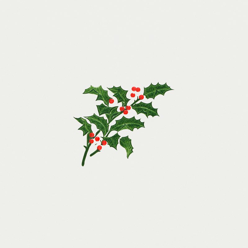 Vintage Christmas Holly Branch - Holly - Posters and Art Prints