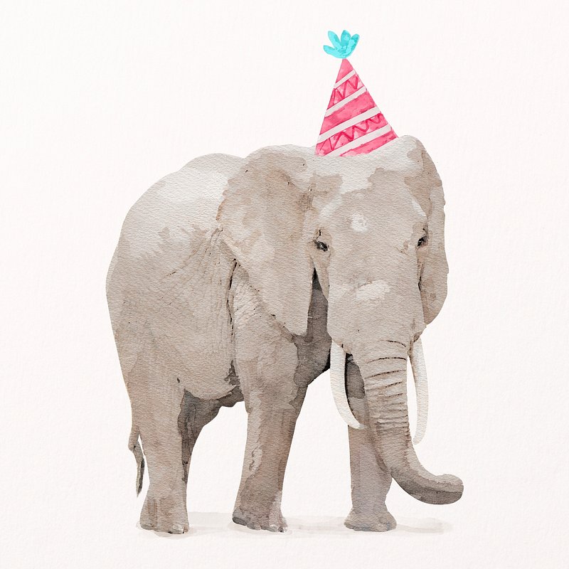 elephant birthday