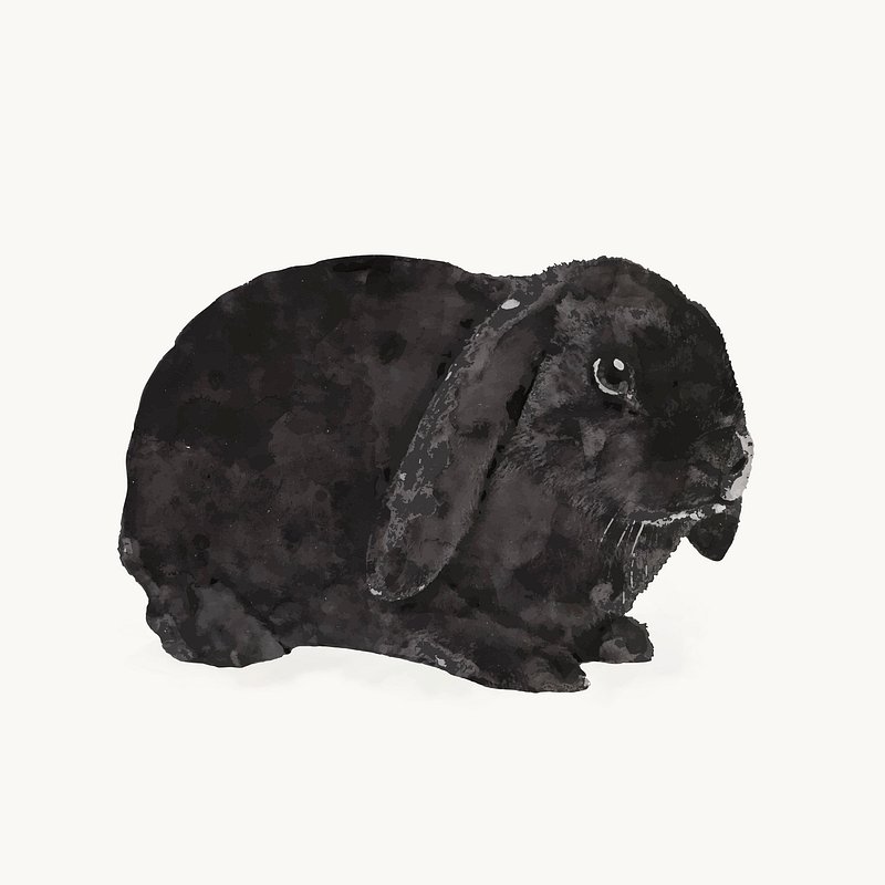 lop eared rabbit clipart outline