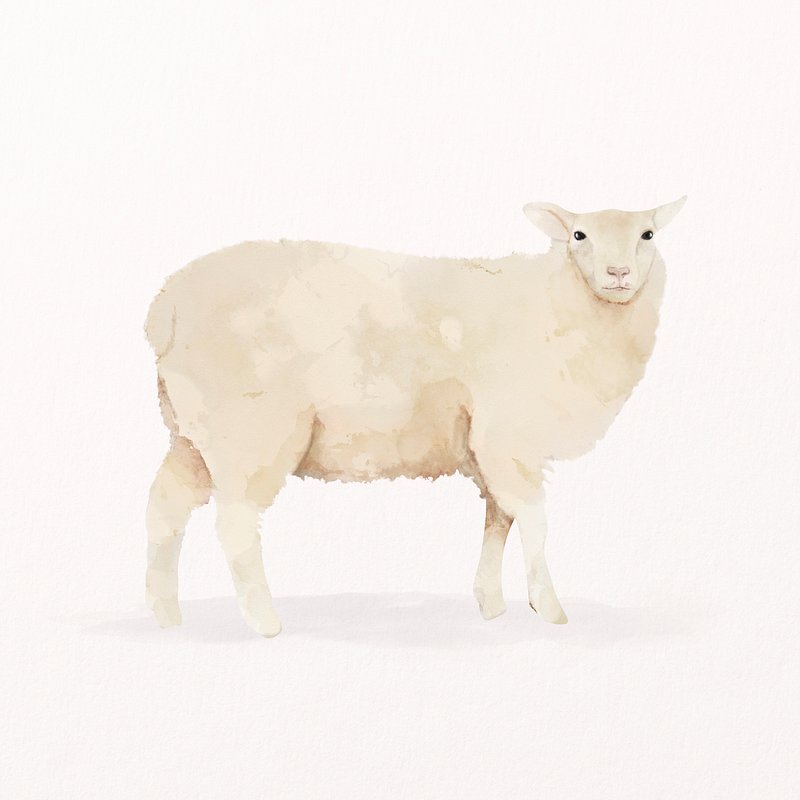 Sheep watercolor illustration, cute farm | Premium PSD Illustration ...