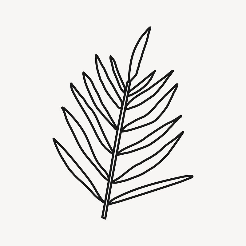 Doodle Fern Leaf Plant Collage Premium Vector Rawpixel