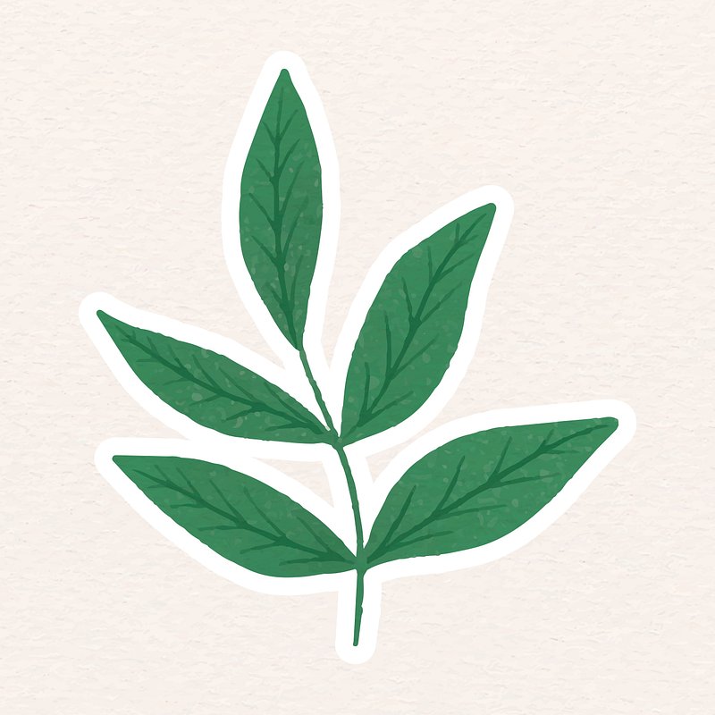 Green leaves sticker vector | Premium Vector - rawpixel