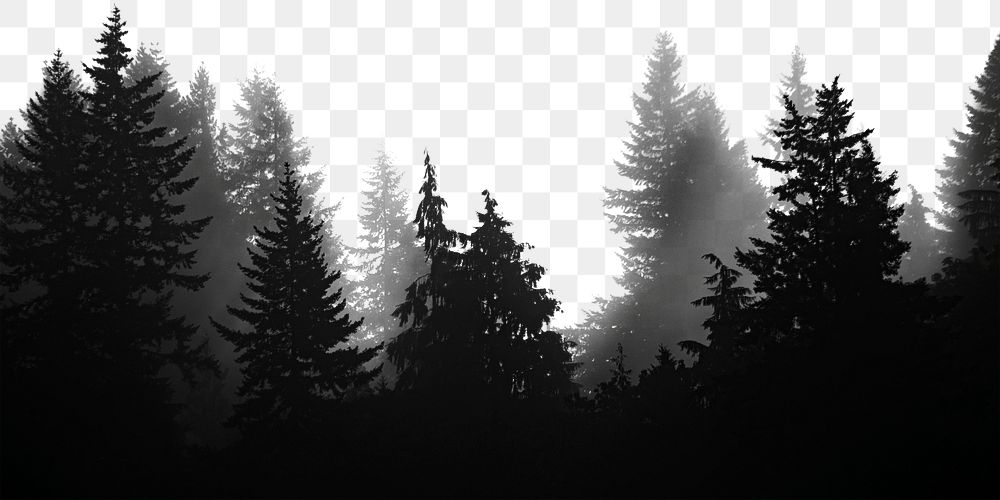 Forest png border, transparent background | Free PNG - rawpixel