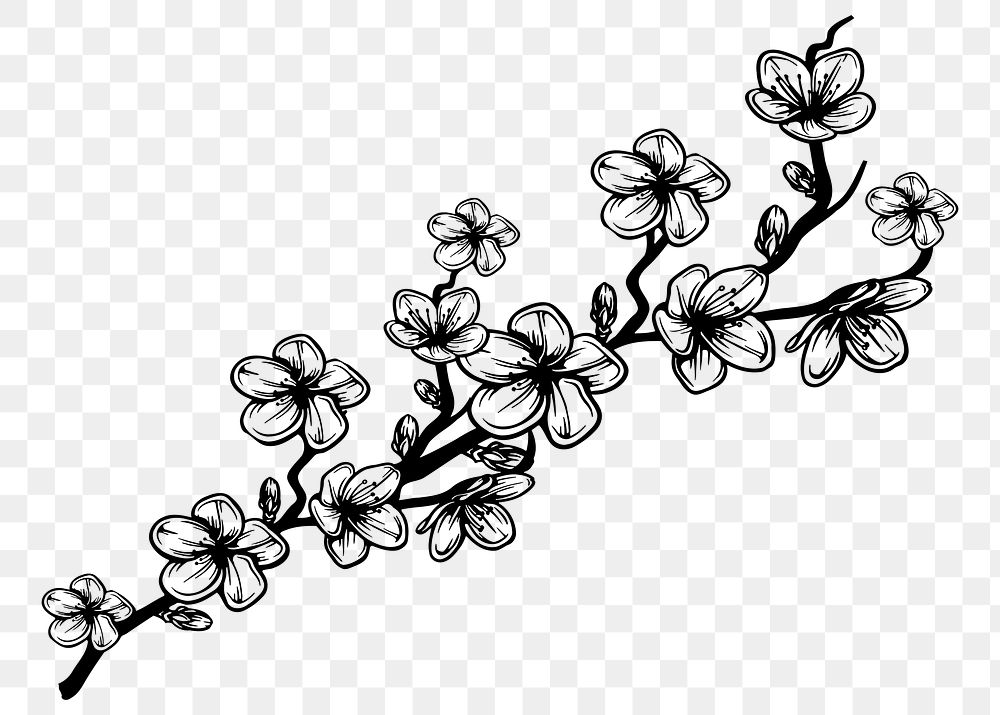 Flower branch png sticker, | Free PNG - rawpixel