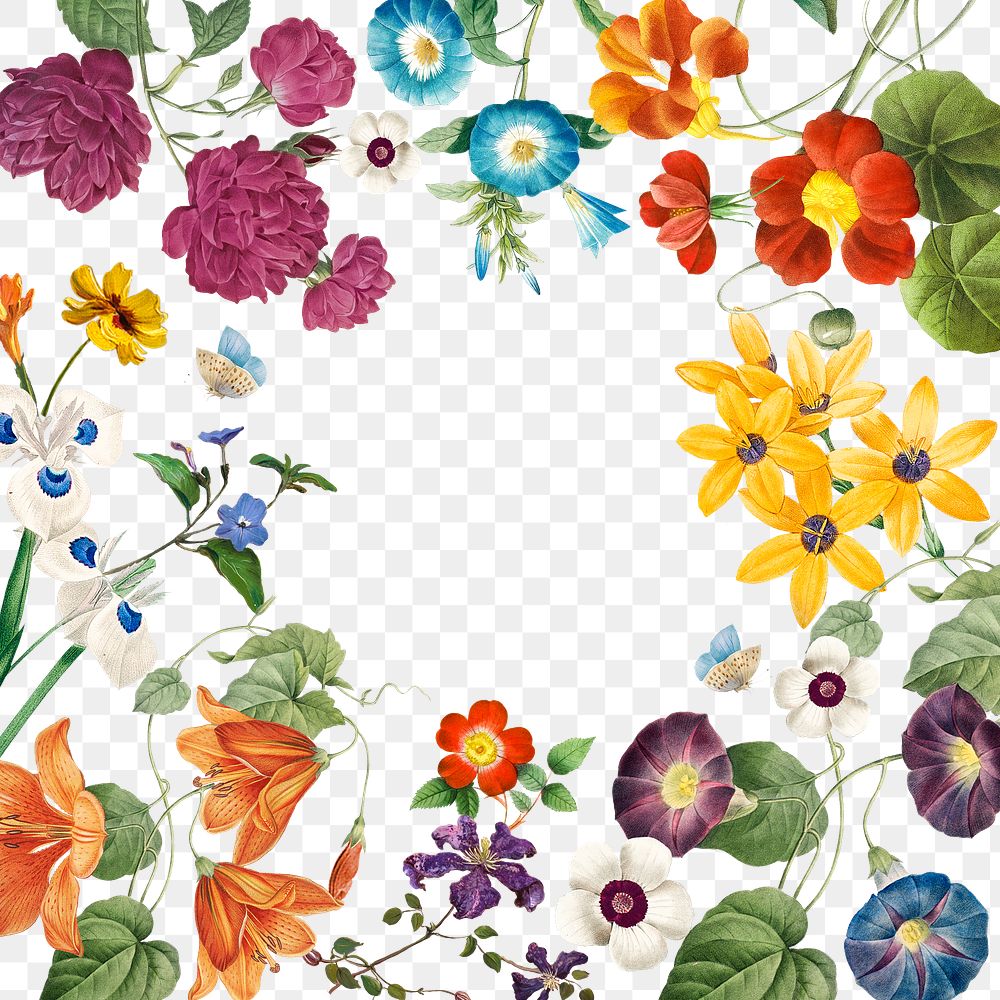 Botanical Png Frame Transparent Background Premium Png Rawpixel