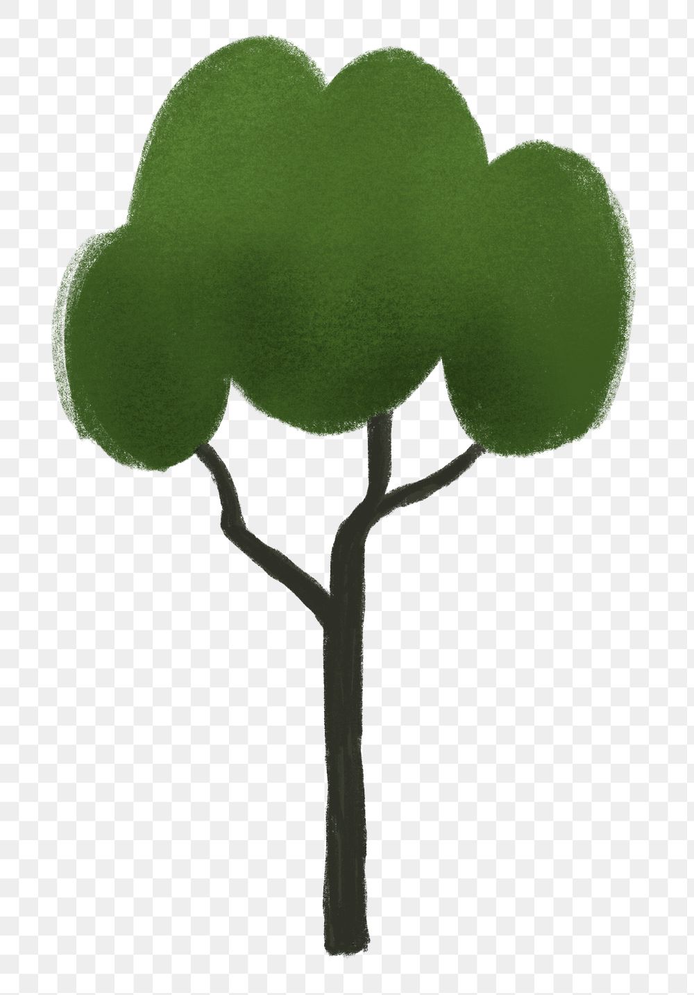 Tree Png Sticker Nature Premium Png Rawpixel