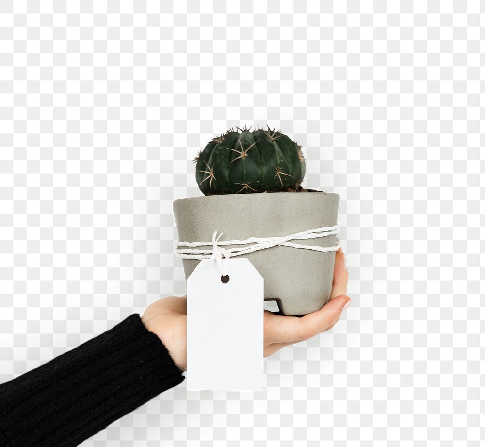 Potted plant tag mockup Free PNG Sticker rawpixel