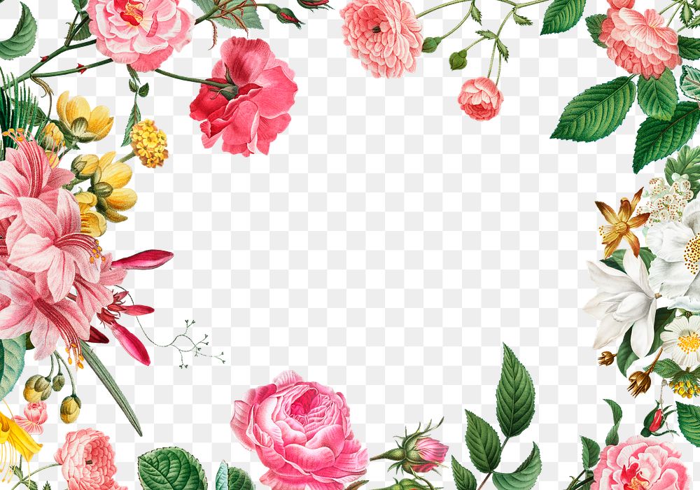 Botanical frame design transparent png | Free PNG - rawpixel