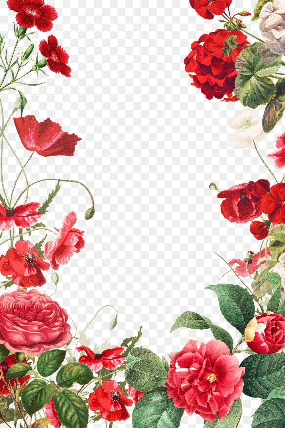 Vintage red flowers frame png | Premium PNG - rawpixel