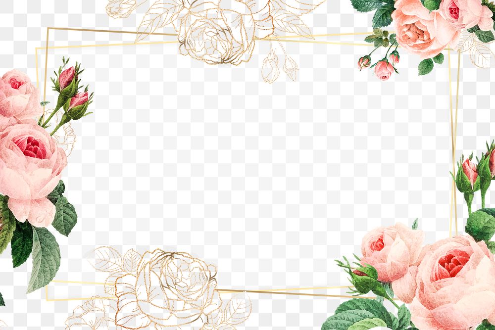 Pink cabbage rose pattern on a gold | Premium PNG - rawpixel