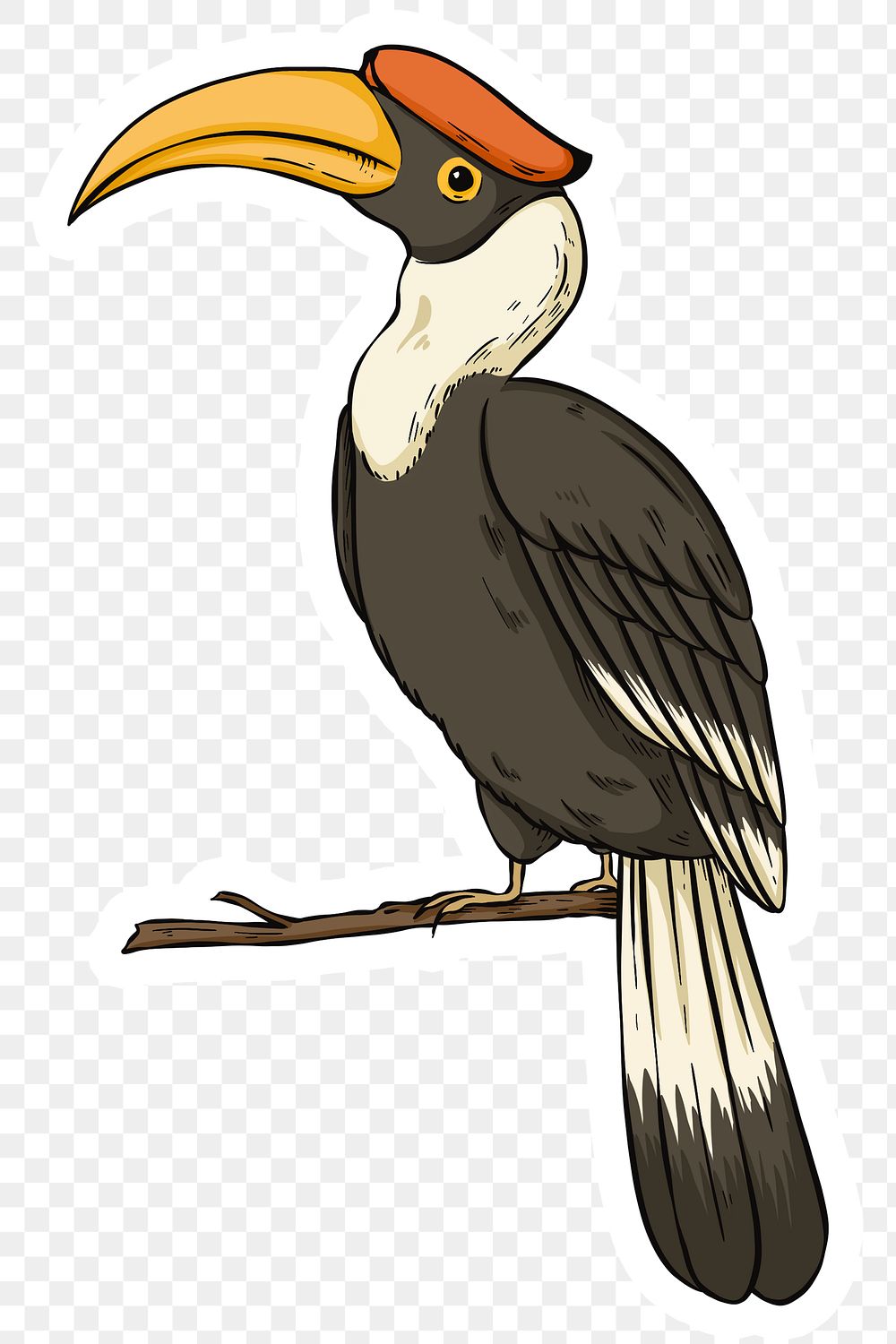 Vintage png hand drawn hornbill | Free PNG Sticker - rawpixel