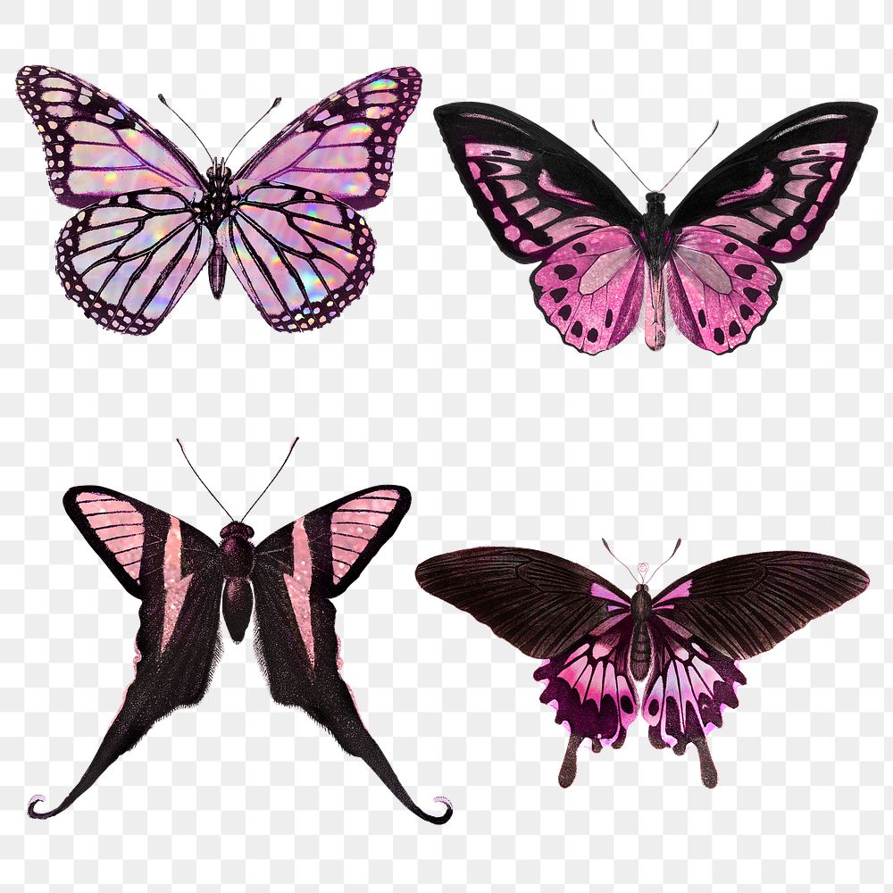 Pink holographic and glittery butterfly | Premium PNG - rawpixel