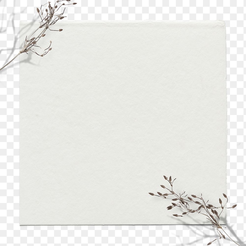 Dry flower twig png frame | Free PNG - rawpixel