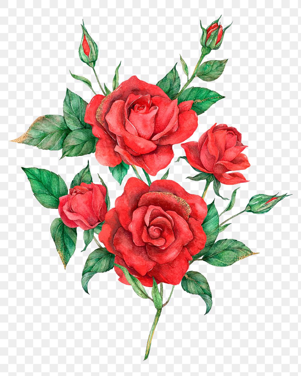 Hand drawn png red rose | Premium PNG Sticker - rawpixel