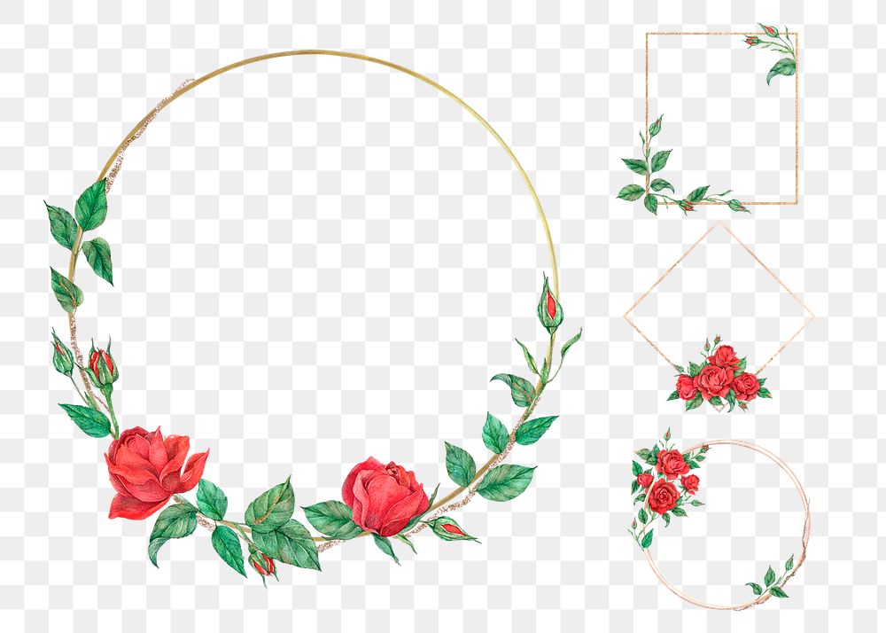 Png red rose on gold | Free PNG - rawpixel