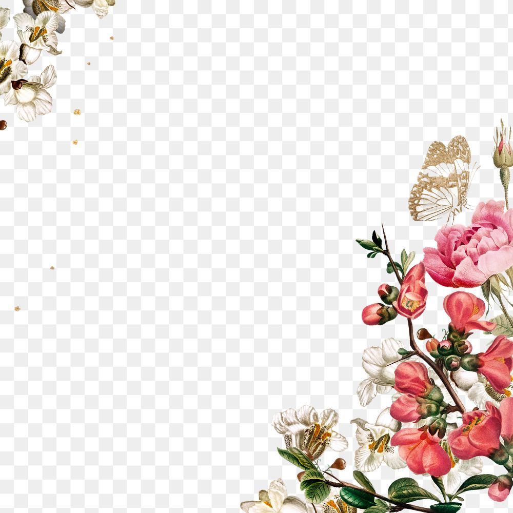 Elegant Valentine's Flowers Border Png 