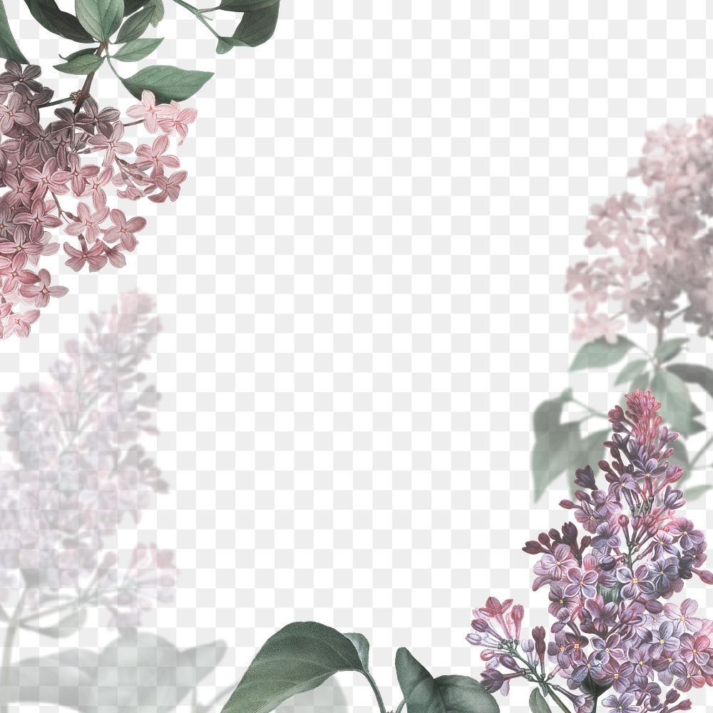 Png wedding frame with lilac | Free PNG - rawpixel