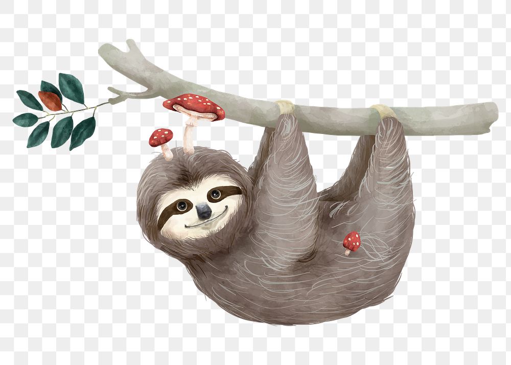 Watercolor sloth png, cute animal | Premium PNG Sticker - rawpixel