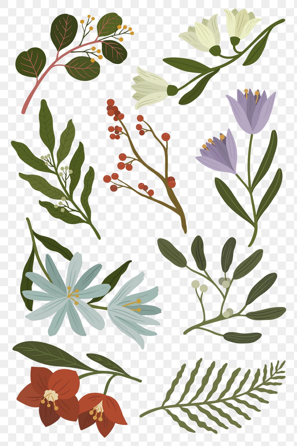 Blooming winter botanicals transparent png | Premium PNG - rawpixel