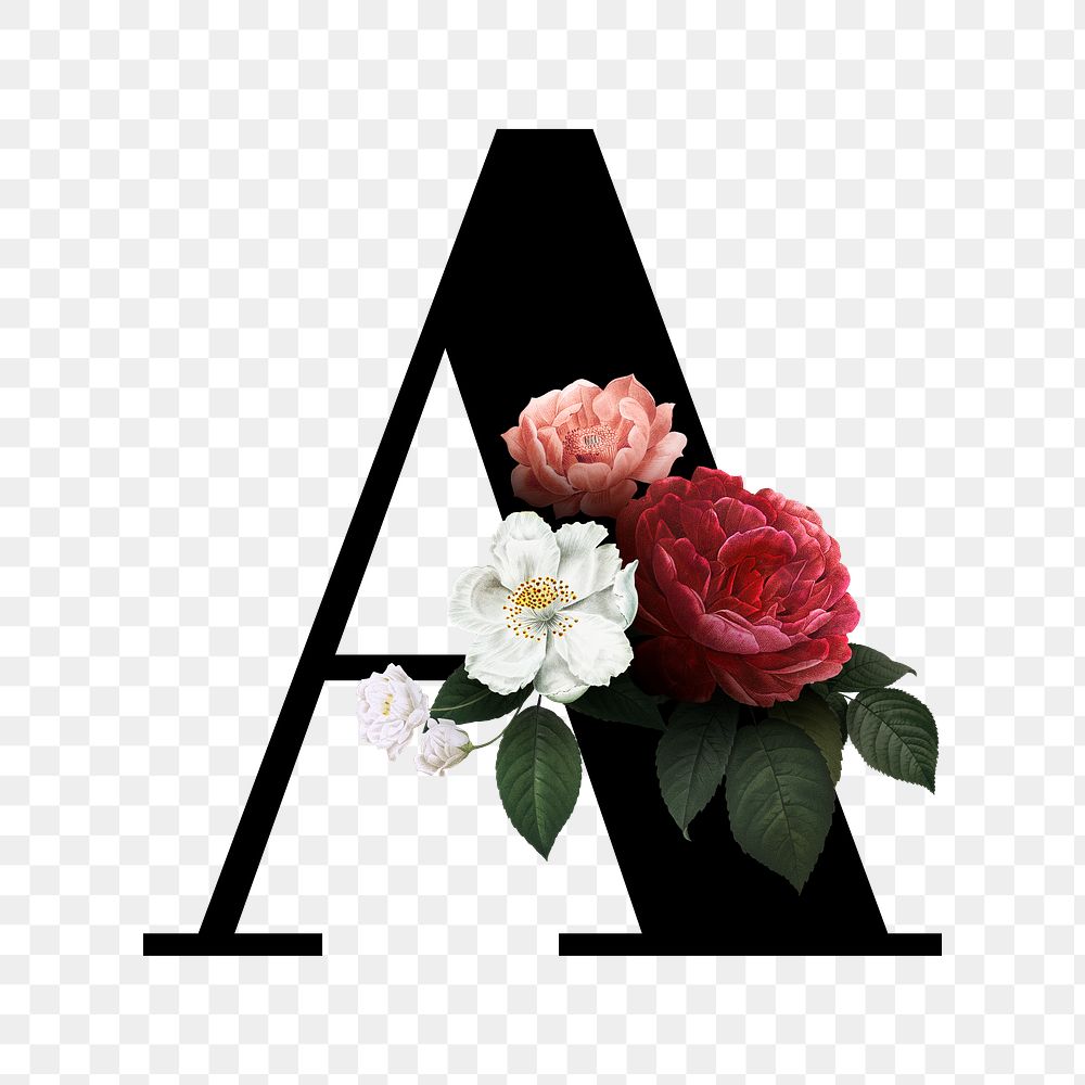 Floral letter A font  Free stock illustration  High Resolution graphic