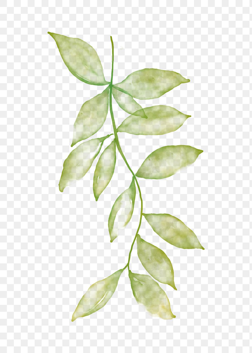 Leaf clipart png, watercolor green | PNG - rawpixel