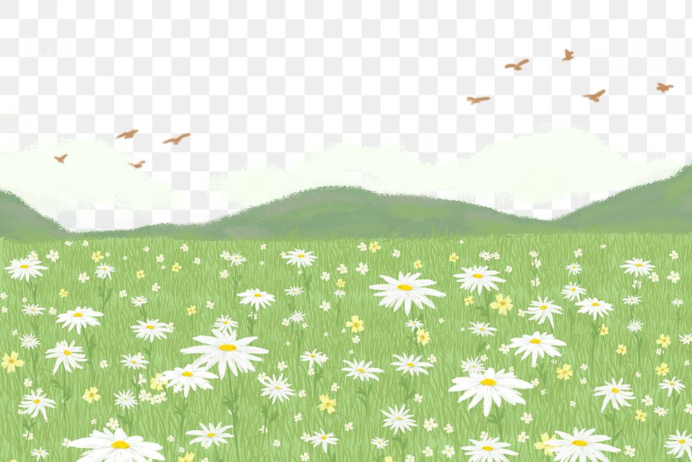 Png blooming daisy field transparent | Free PNG Sticker - rawpixel