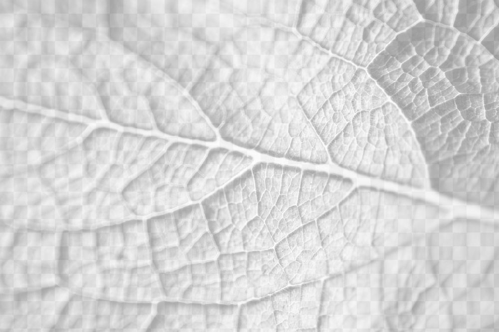 Leaf png overlay, abstract design | Free PNG - rawpixel