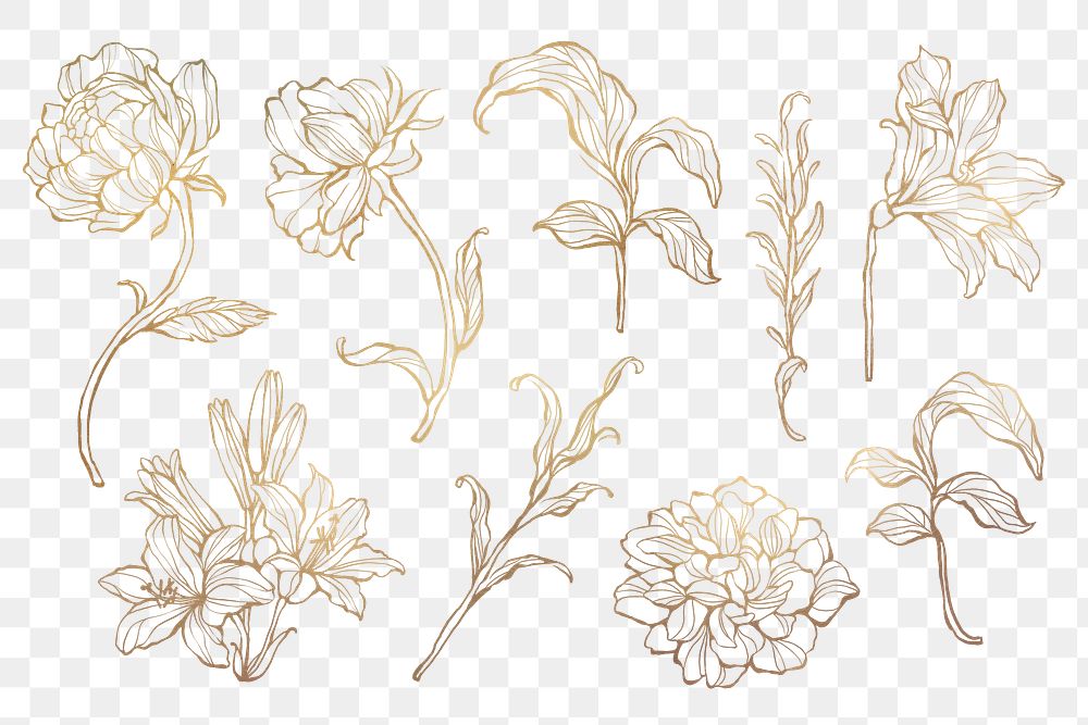 Gold Floral Outline Set Transparent Free Png Sticker Rawpixel