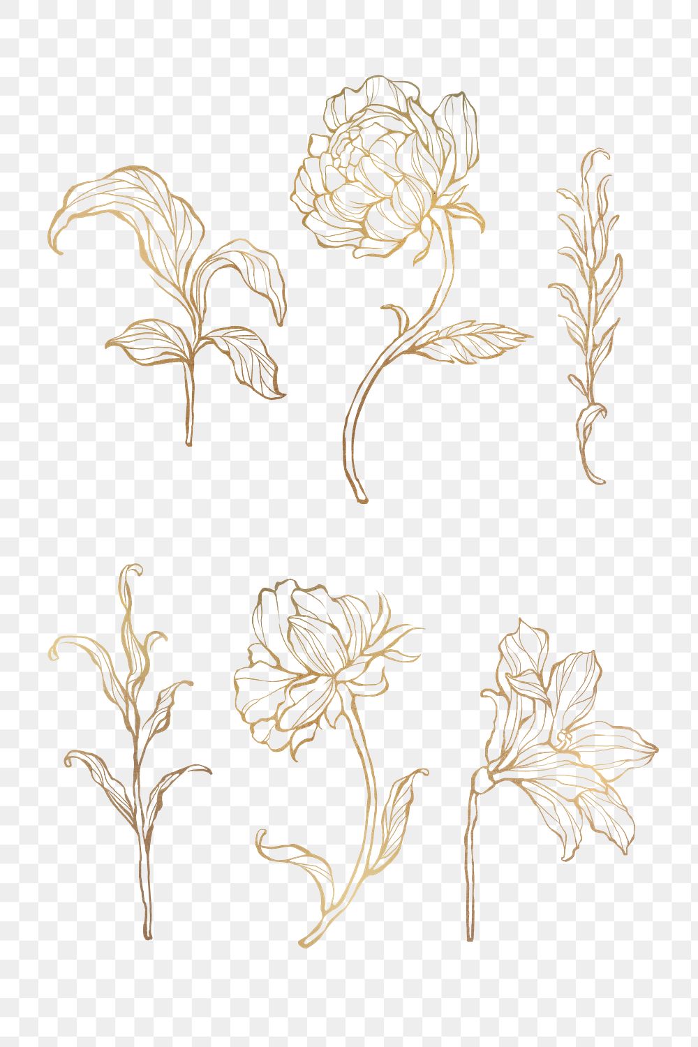 Golden floral set png | Free stock illustration | High Resolution graphic