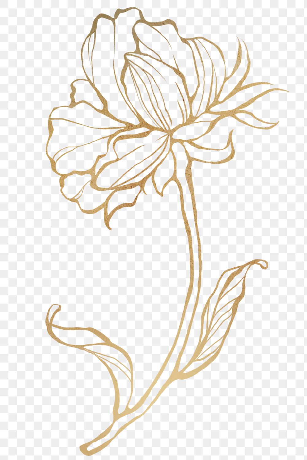 Gold flower outline transparent png | Free PNG Sticker - rawpixel