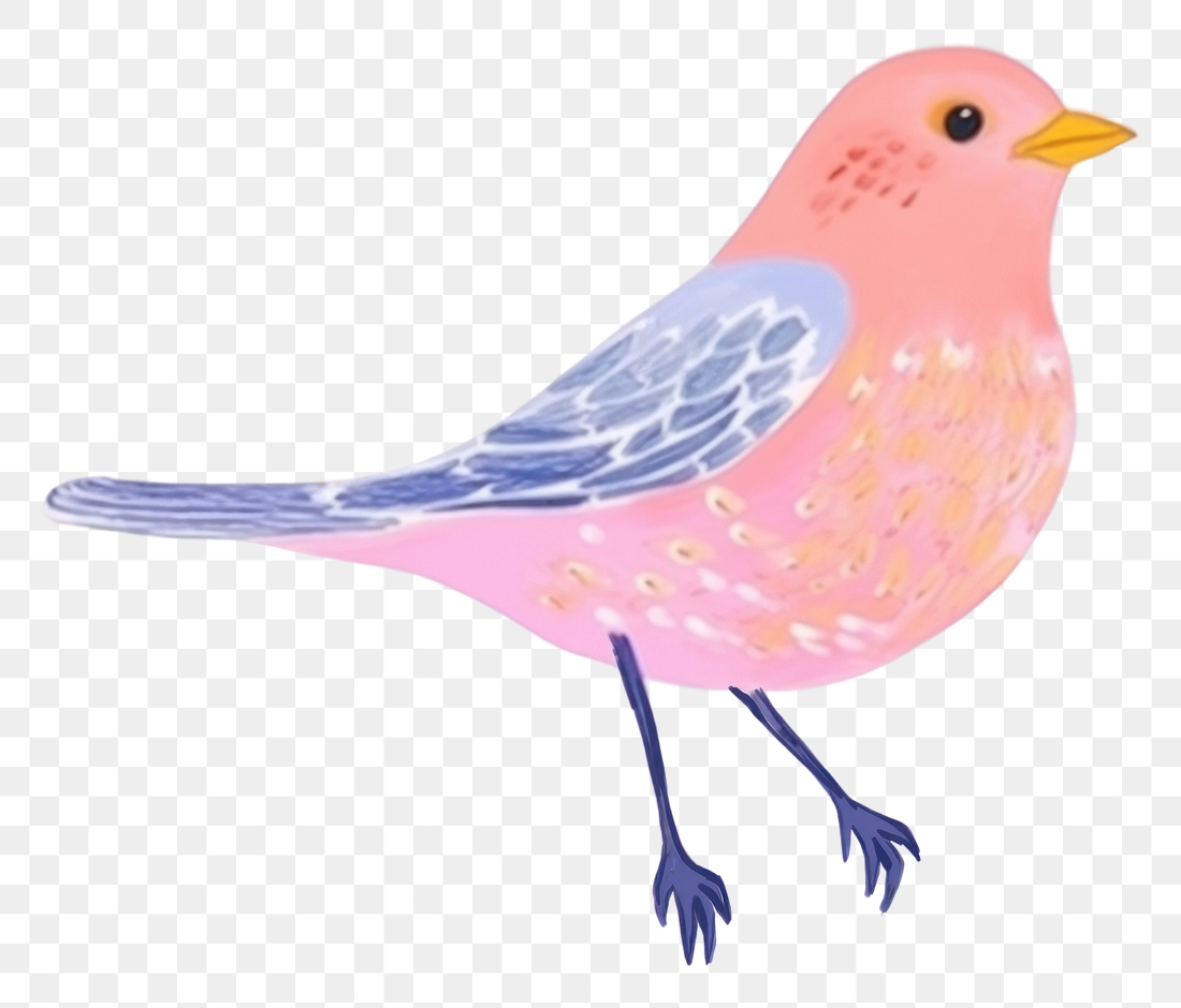 PNG Bird art pattern drawing. | Premium PNG - rawpixel