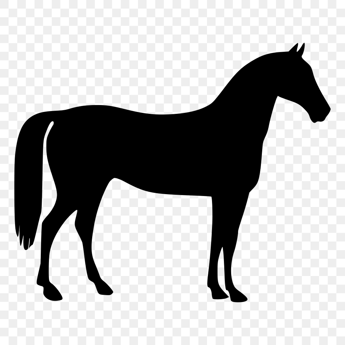 Horse silhouette png sticker, transparent | Free PNG - rawpixel