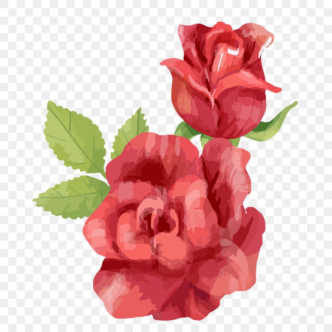 Red roses png watercolor flower, | Premium PNG - rawpixel