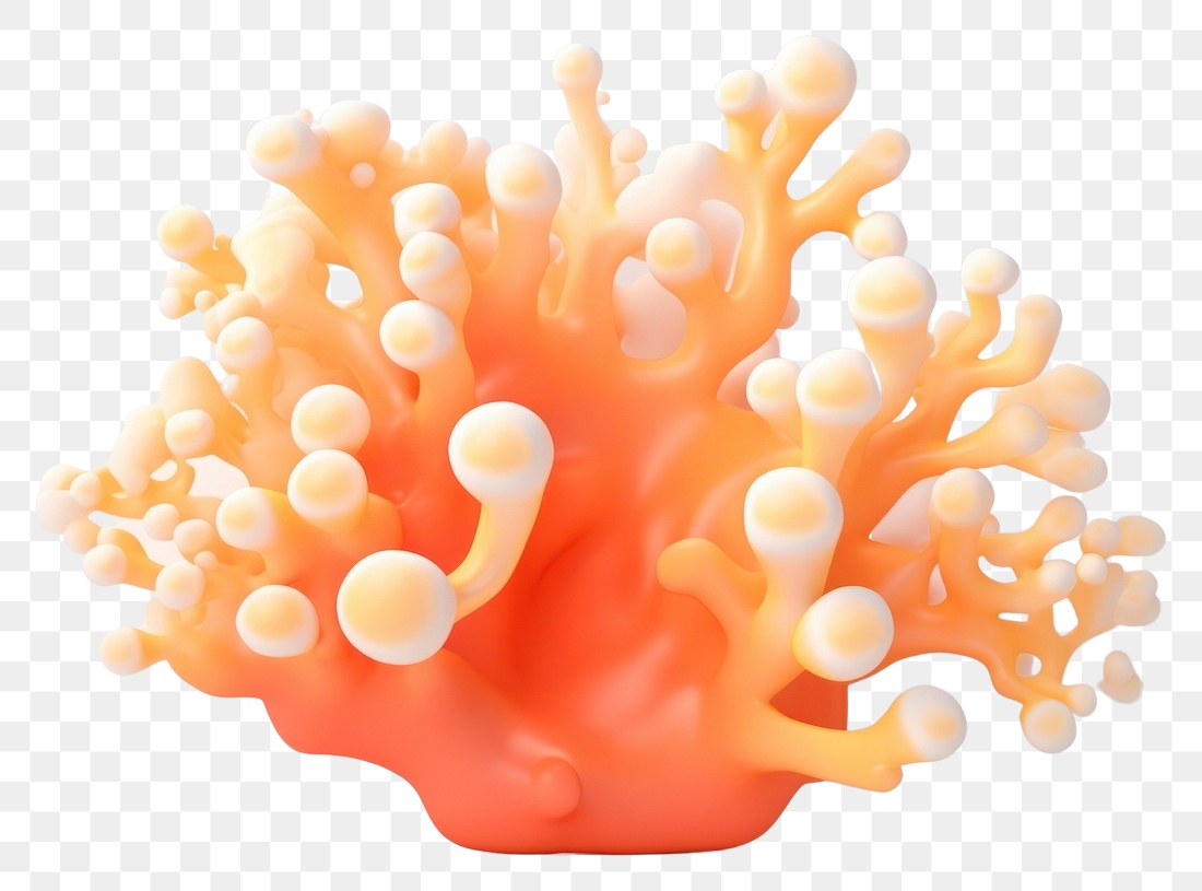 Png yellow pill sea invertebrate premium png rawpixel