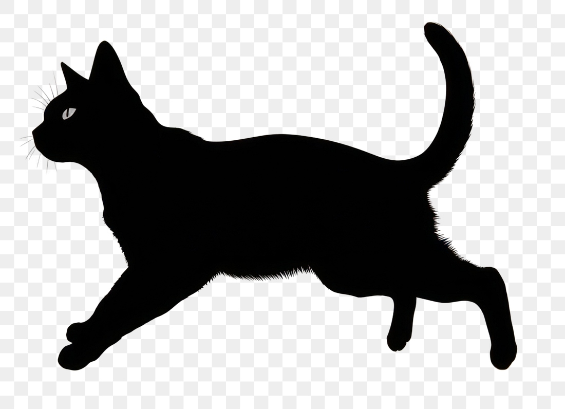 PNG Sillouette cat jumping silhouette | Free PNG - rawpixel