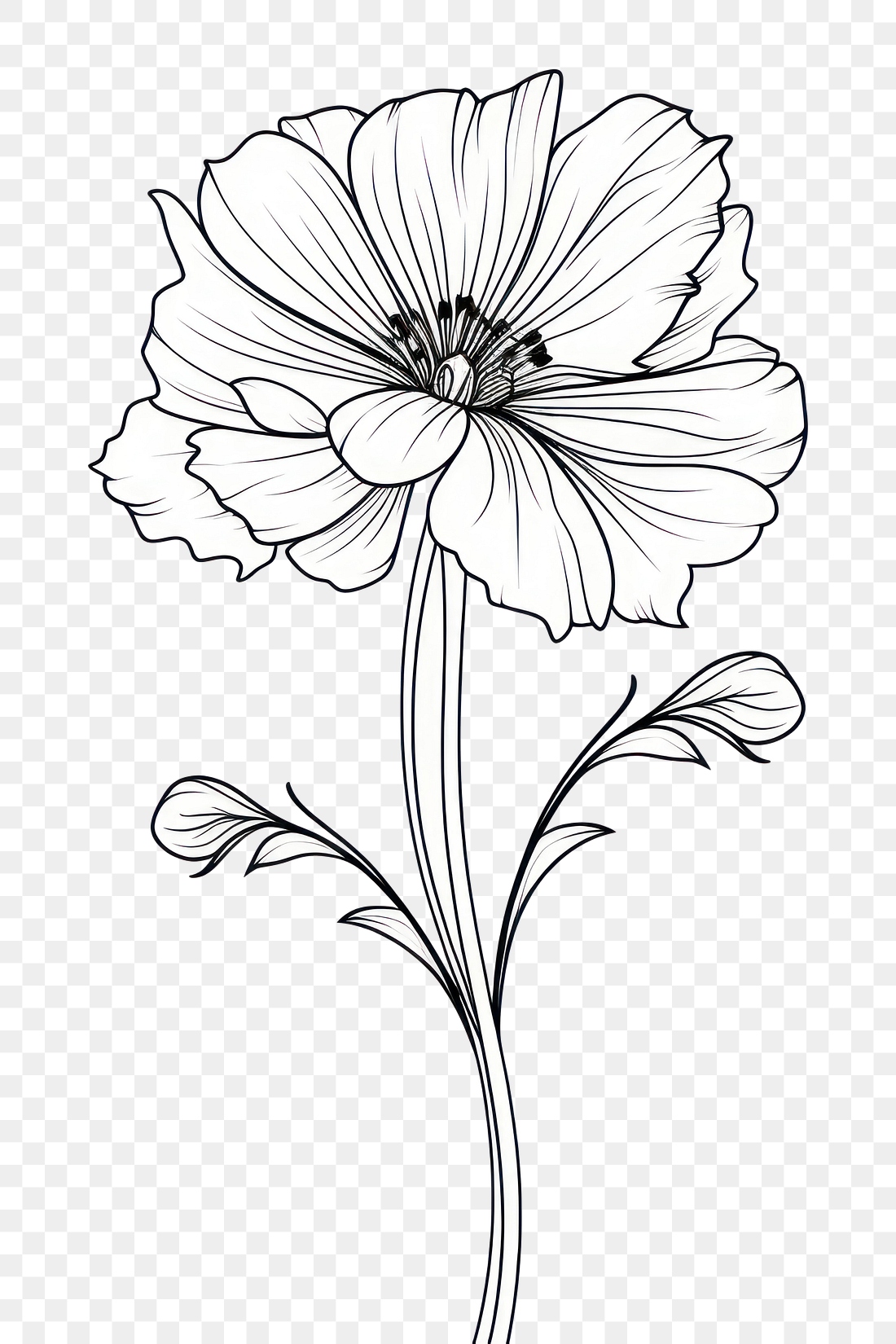 PNG Flower drawing sketch plant. | Premium PNG - rawpixel