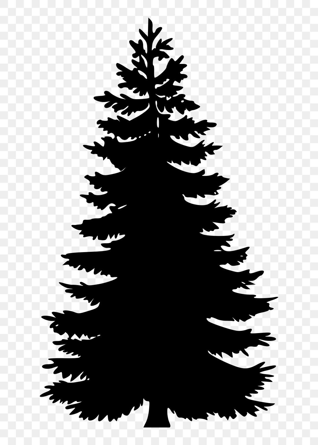 Pine tree png sticker botanical | Free PNG - rawpixel