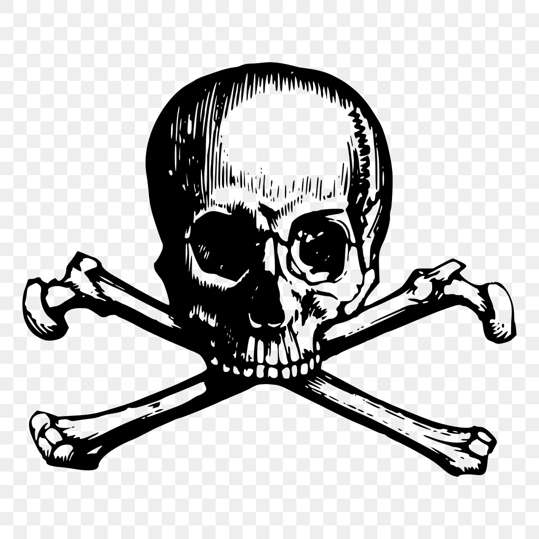 Skull & bones png sticker, | Free PNG - rawpixel