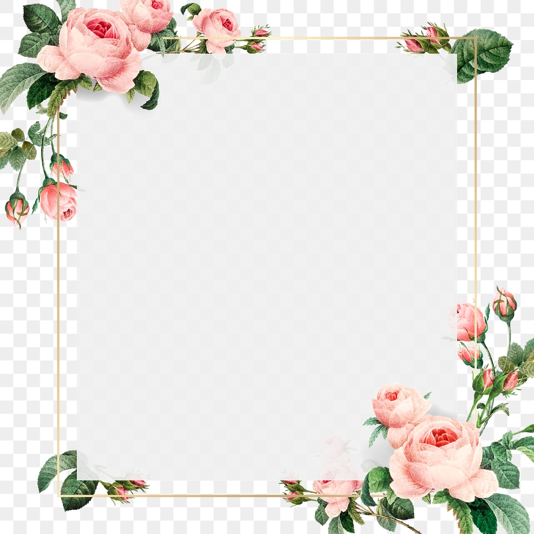 Pink cabbage rose pattern gold | Premium PNG - rawpixel