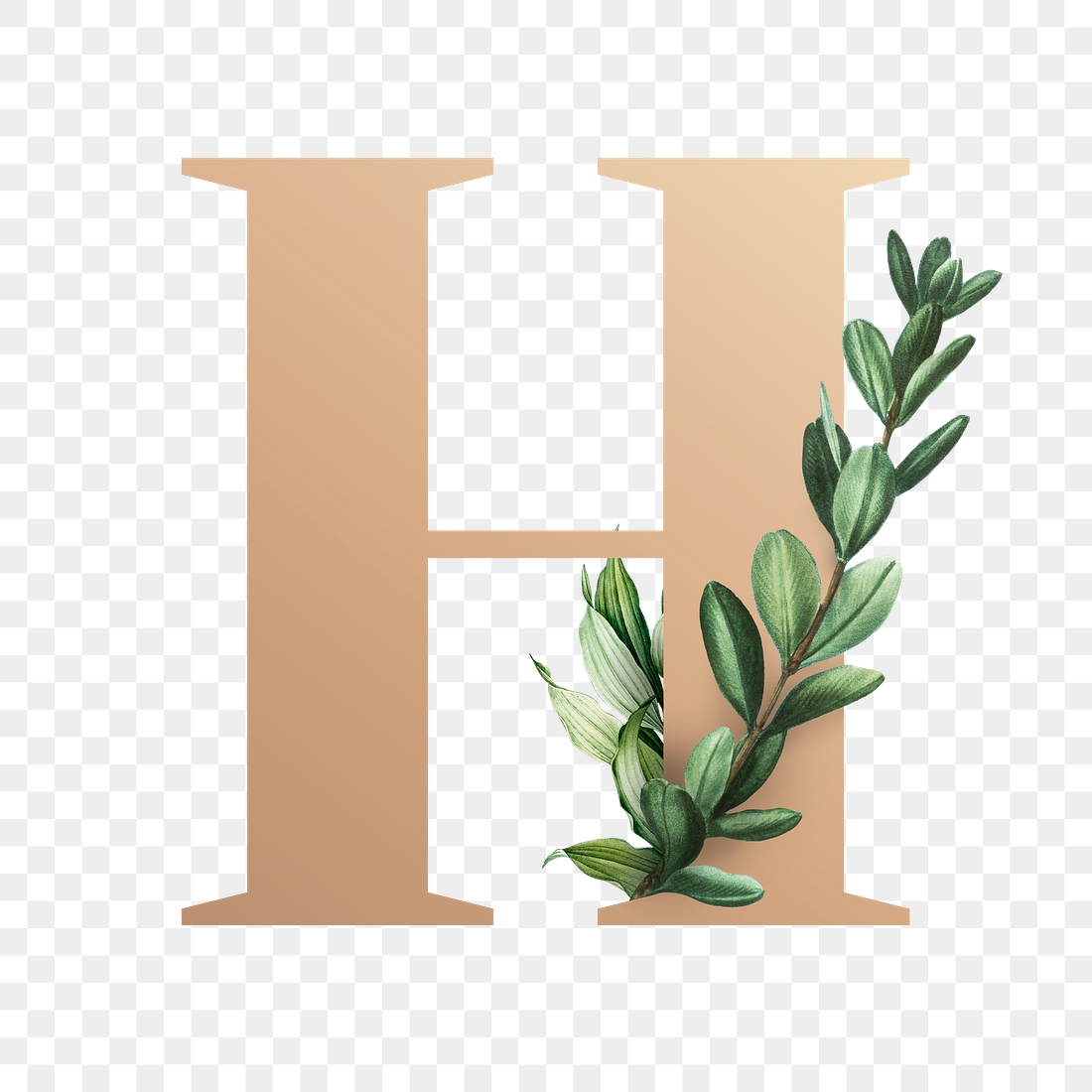 Botanical capital letter H transparent | Premium PNG Sticker - rawpixel