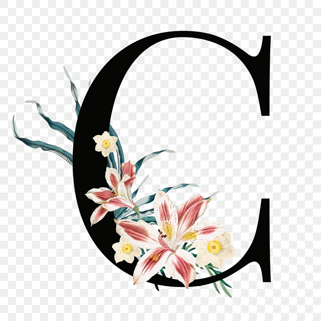Letter C png vintage floral | Free PNG Sticker - rawpixel