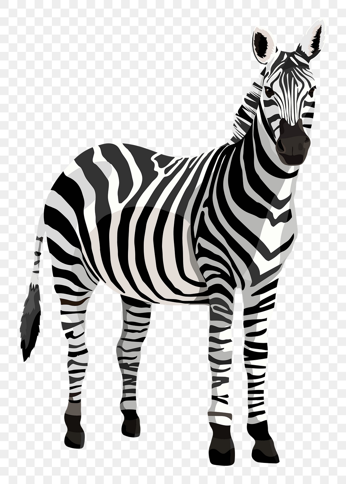 Zebra png safari animal, wild | Premium PNG - rawpixel