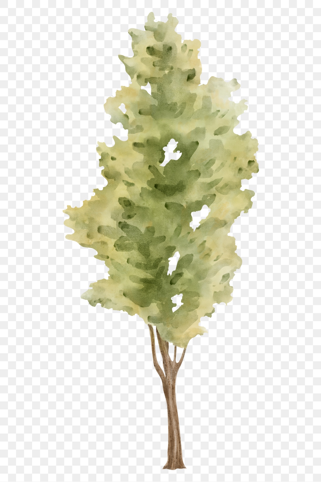 Watercolor tree png, spring nature | Premium PNG - rawpixel